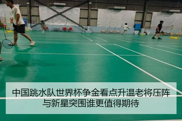 中国跳水队世界杯争金看点升温老将压阵与新星突围谁更值得期待 - yingjiasports